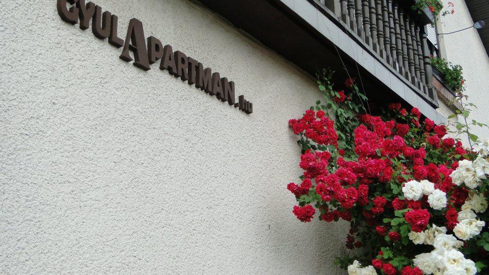 Gyulapartman Bagian luar foto